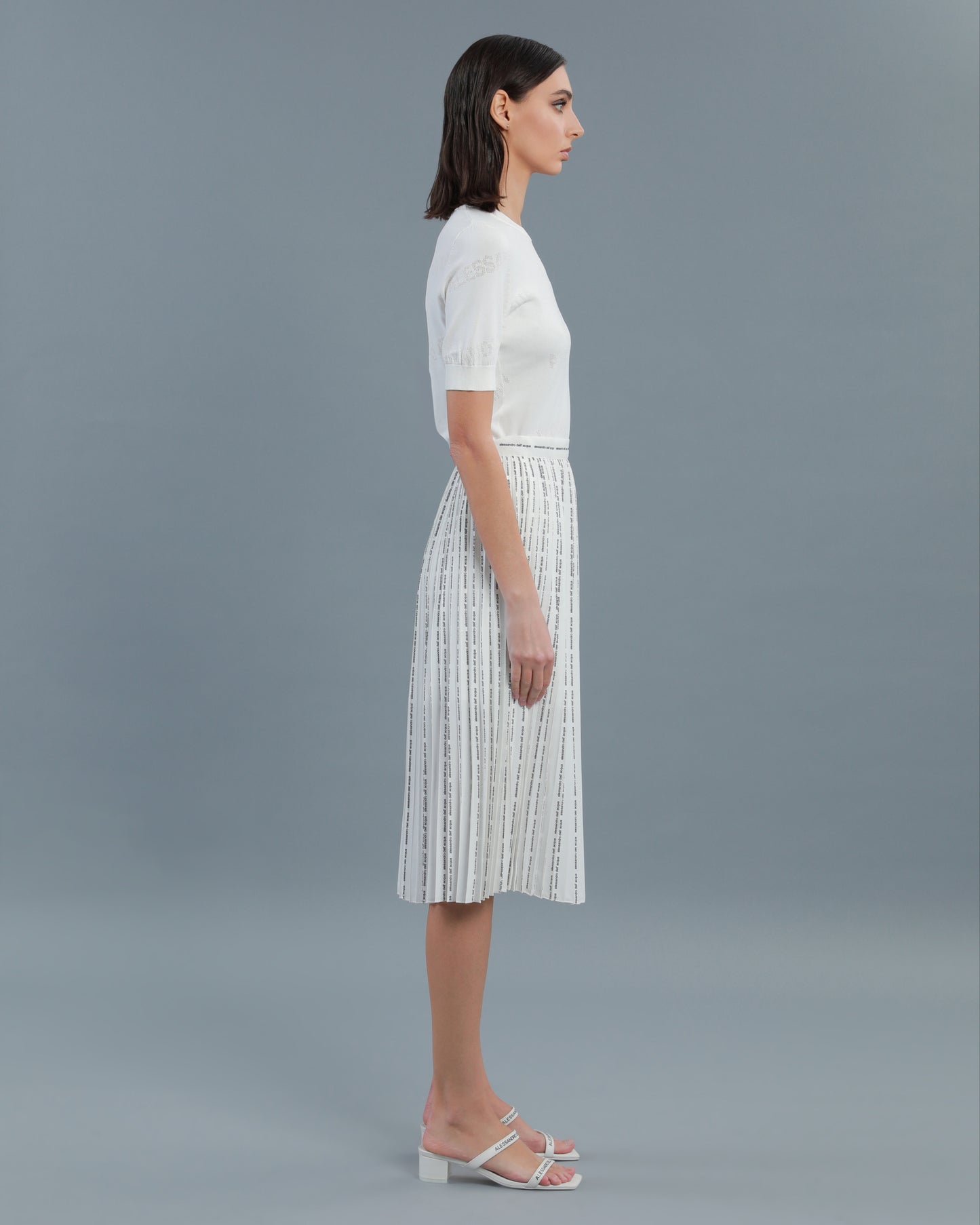 Pinstripe Logo Pleated Skirt