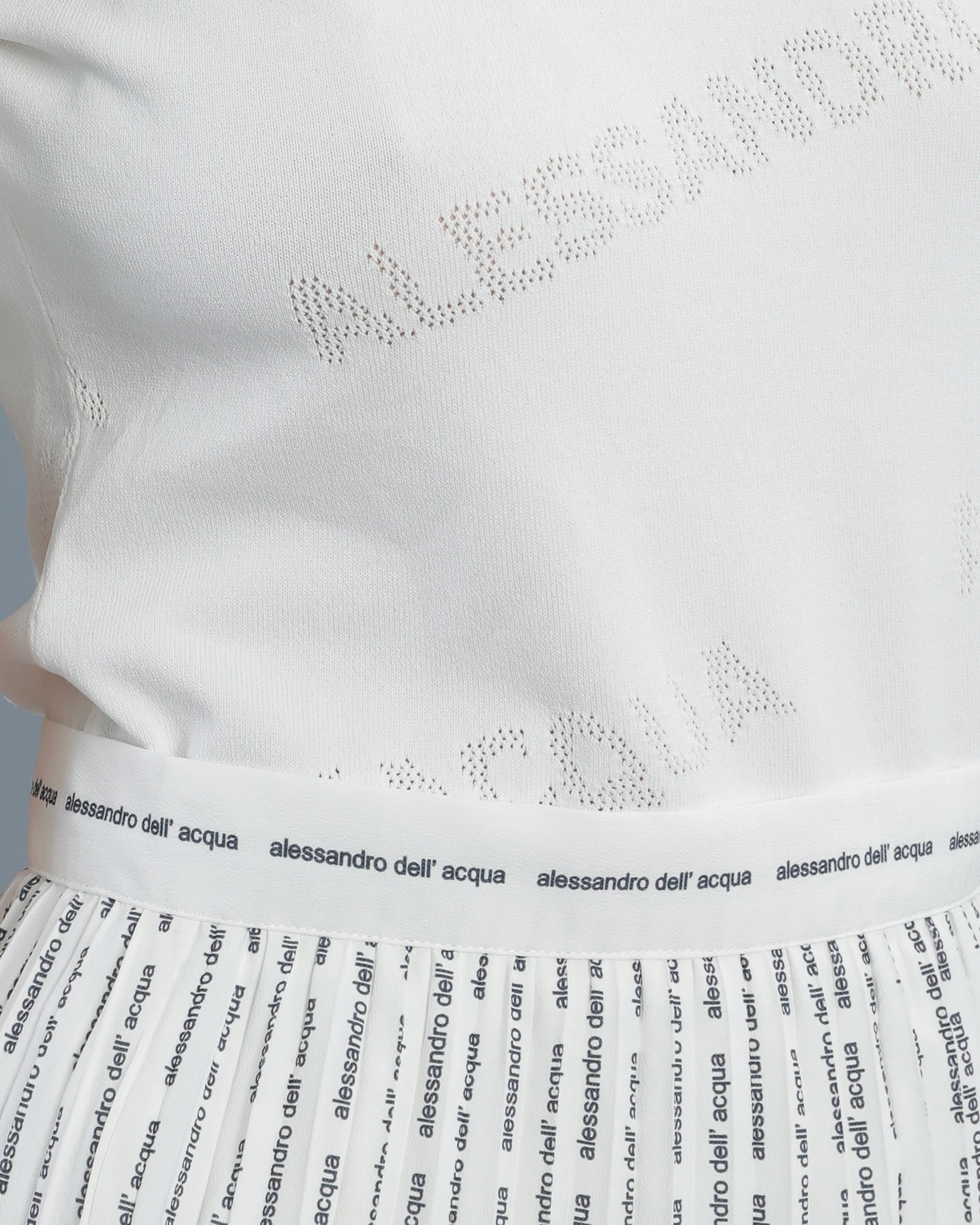 Pinstripe Logo Pleated Skirt