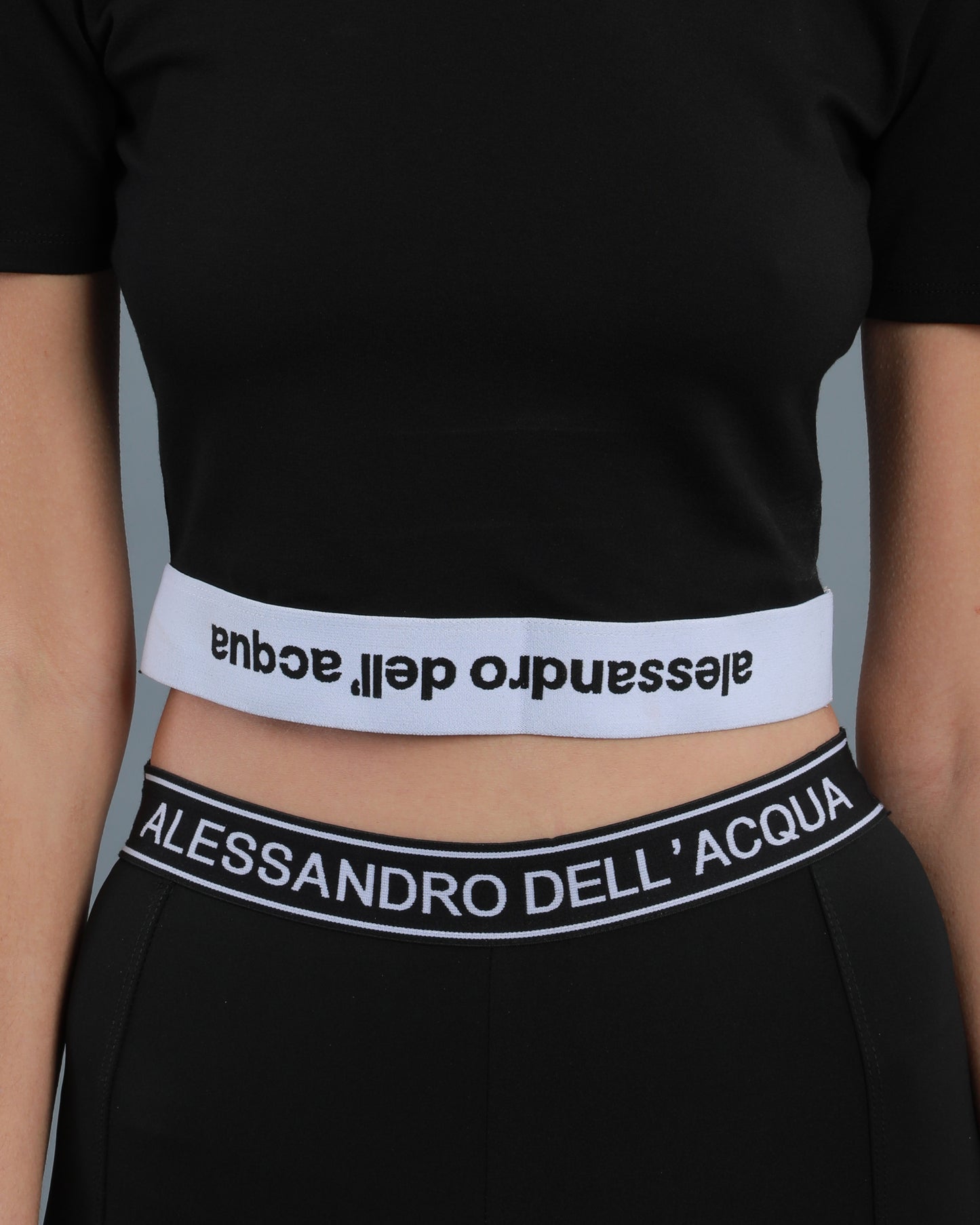 Logo Band Cropped T-Shirt